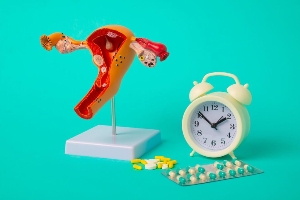 alt="modello anatomico dell'utero con orologio e pillole, simbolo dei falsi miti sulla menopausa e terapia ormonale"