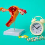 Menopausa e Falsi Miti: Cosa Dice Davvero la Scienza