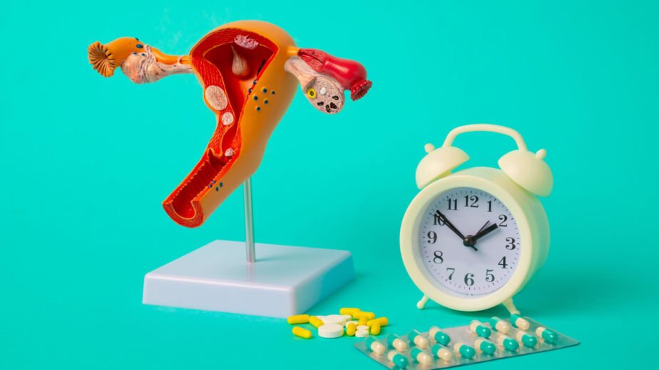 alt="modello anatomico dell'utero con orologio e pillole, simbolo dei falsi miti sulla menopausa e terapia ormonale"